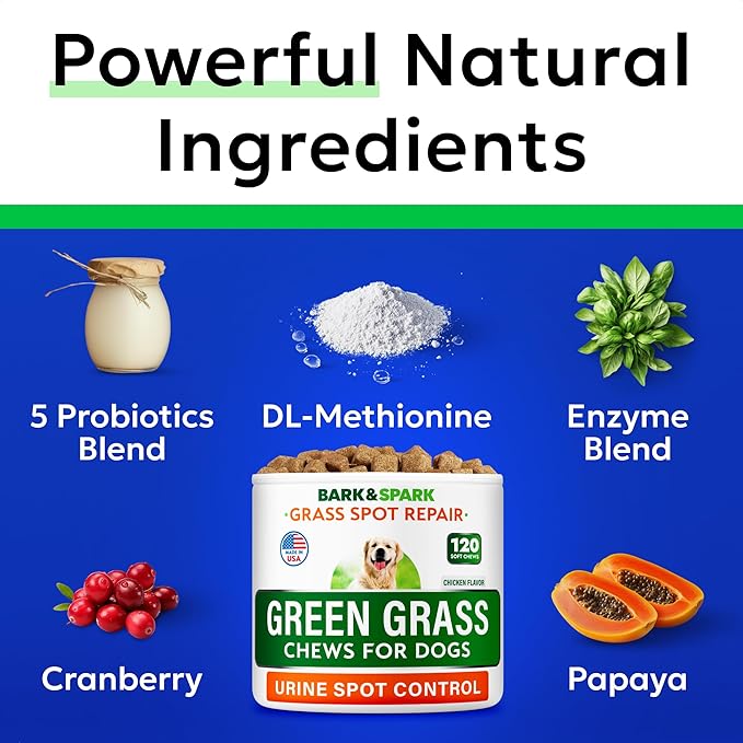 BARK&SPARK Green Grass Chews - Pee Grass Spot Saver Caused by Dog Urine - Urine Neutralizer for Lawn, Gut Health Probiotics & Digestive Enzymes,Lawn Burn from Dog Urine, Grass Burn Spot Chews, Rocks-Mewly Pet
