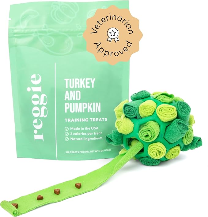 Reggie Forager Ball for Dogs | Mealtime Enrichment Toy | Reduces Boredom, Hyperactivity, Stress | Vet-Approved & Ideal for All Ages, Breeds, and Sizes (Forager Ball - Turkey & Pumpkin)-Mewly Pet