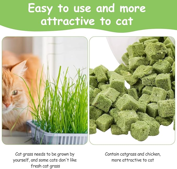 HavenJanny 60g Cat Grass Treats for Cats, Freezed Drying Cat Grass Teething Stick Snacks for Kitty, Edible Cats Chew Toys for Teeth Cleaning and Hairball Removal-Mewly Pet