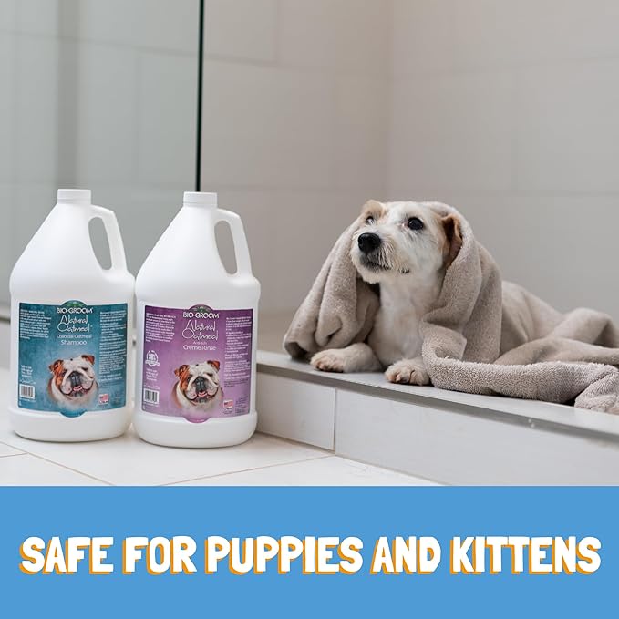 Bio-Groom Oatmeal Dog Shampoo-for Allergies and Itching, Cruelty-Free, Dog Bathing Supplies, Puppy Shampoo for Sensitive Skin, Made in USA, Anti-Itch Dog Products-2.5 Gallons-Mewly Pet