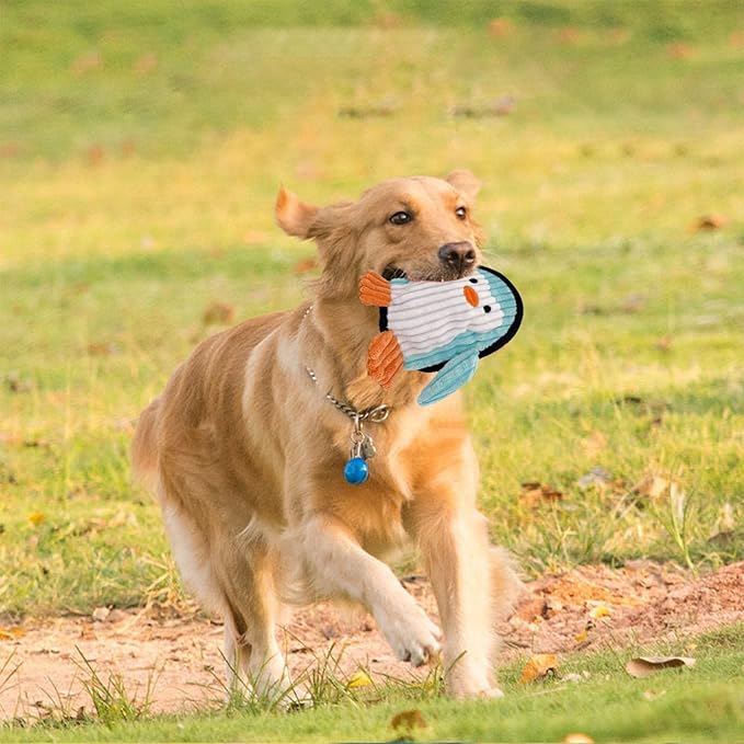 Squeaky Dog Toys 3 Pack, Soft and Tough Dog Plushes, No Stuffed Toy Sets, Durable Pet Chew Toys for Small, Medium and Large Dogs Interact and Reduce Boredom-Mewly Pet
