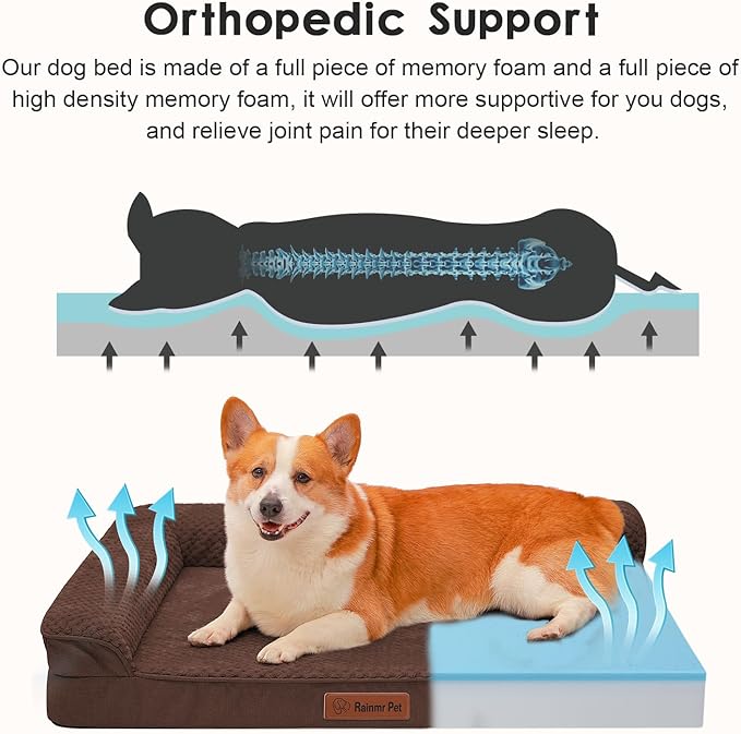 Orthopedic Dog Beds Large Sized Dog, 3 Inch Memory Foam Pet Bed for Medium and Large Dogs, Washable Removable Cover, Nonskid Bottom, Waterproof, 36x27 Inches L Brown Grey-Mewly Pet