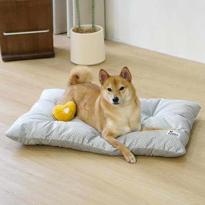 FUNNY FUZZY Dog Bed Crate Pad Mat, Washable Reversible Pet Floor Mats,Fluffy Kennel Pad for Large Sized Dog,Indoor Cats,Sleeping Mattress, 35.4" × 22.8", Light Grey-Mewly Pet