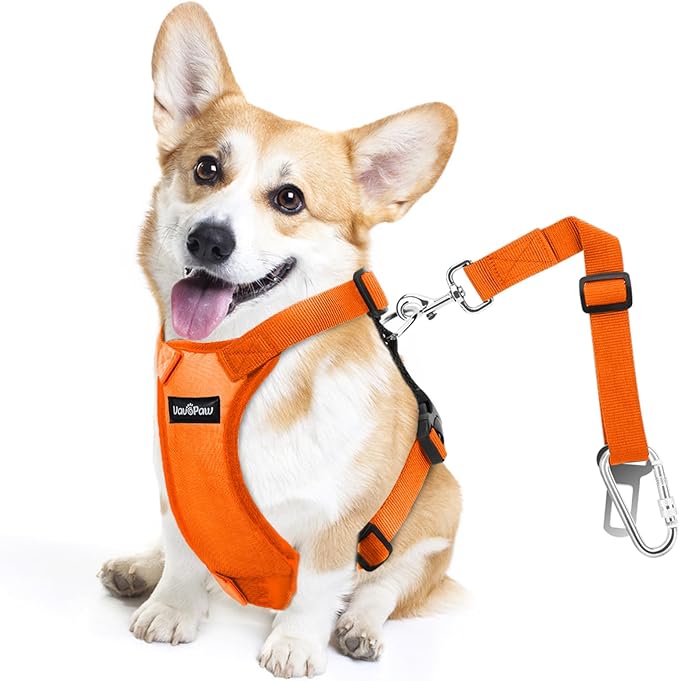 Dog Seat Belt, Safety Vest Dog Car Harness with Adjustable Buckle Dog Seat Belt for Vehicle Nylon Pet Safety Seat Belts Heavy Duty(S, Orange)-Mewly Pet