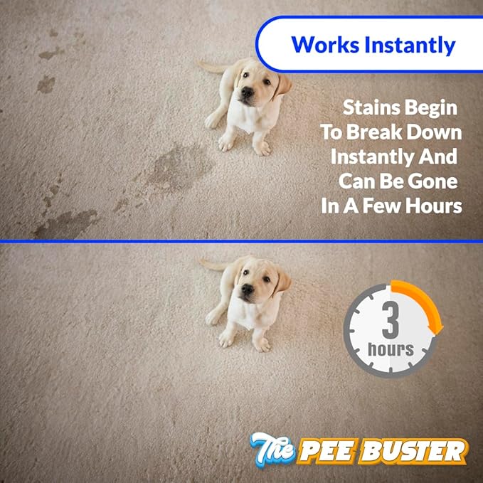 Generic Peebuster Pet Stain & Odor Remover - Cleaning Spray for Dog and Cat Urine, 1 Count (Pack of 1)-Mewly Pet