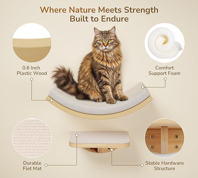 Cat Window Perches, Curved Cat Wall Beige Bed and 2 Floating Wall Steps, Wall Mounted Climbing Shelves for Sleeping, Playing, and Lounging-Mewly Pet