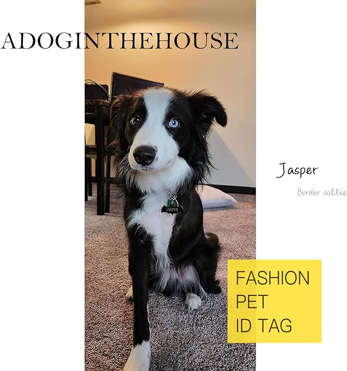 Premium 316 Surgical Grade Stainless Steel Personalized Dog & Cat ID Tags - Fun Shapes for Sporty Outdoor Pets - Custom Engraved Name & Info for Collar Accessories & Pet Necklaces Square 5 Color-Mewly Pet