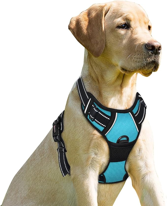 BARKBAY No Pull Dog Harness Front Clip Heavy Duty Reflective Easy Control Handle for Large Dog Walking(Blue,L)-Mewly Pet