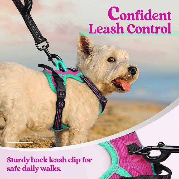 rabbitgoo Dog Harness No Pull with 2 Leash Clips, Adjustable Soft Padded, Reflective Oxford No Choke Pet Vest with Easy Control Handle for Large Dogs, Hot Pink & Turquoise, XS-Mewly Pet