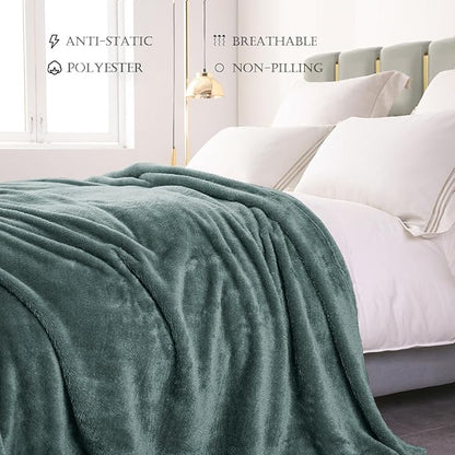 Exclusivo Mezcla Plush Fuzzy Fleece Bed Blanket Queen Size, Super Soft, Fluffy and Warm Blankets Suitable for All Seasons (Celadon, 90x90 Inches)
