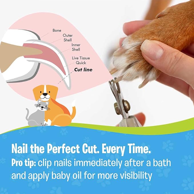 Pet Nail Clippers, Stainless Steel, Ergonomic Non Slip Design, Safe Home Pet Grooming for Cats and Dogs (Pink)-Mewly Pet