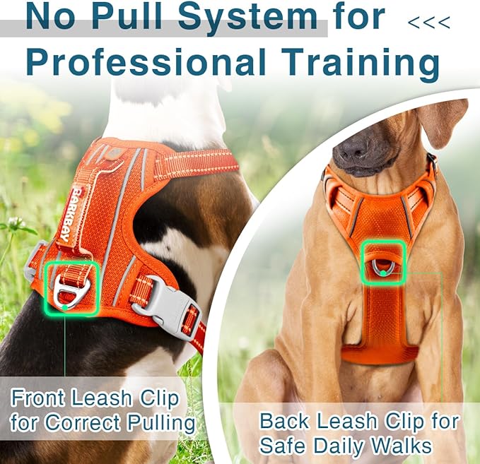 BARKBAY Dog Harness No Pull with ID Tag Pocket - Heavy Duty, Reflective, Easy Control for Large Dogs(Orange,S)-Mewly Pet
