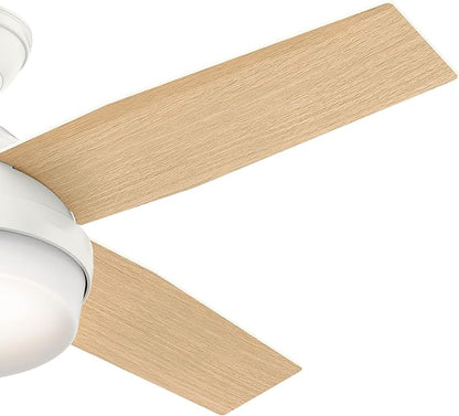 Hunter 44 inch Indoor Ceiling Fan with LED Light and Remote Control - White Modern Ceiling Fan, Standard Mount, 4 Blades, For Bedroom, Living Room, or Kitchen - Dempsey 59246, Fresh White