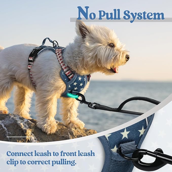 rabbitgoo Dog Harness No Pull with 2 Leash Clips, Adjustable Soft Padded, Reflective Oxford No Choke Pet Vest with Easy Control Handle for Large Dogs, Blue Star, XS-Mewly Pet