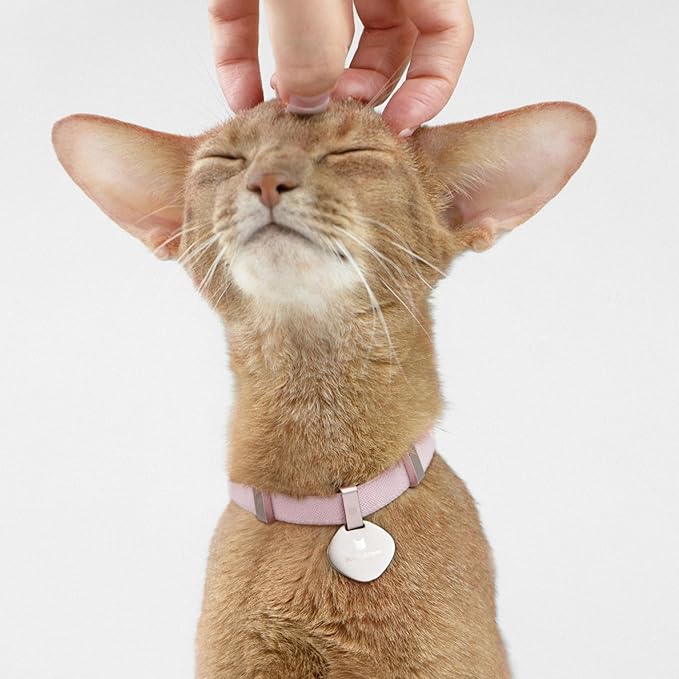 Safety Cat Collar - U.S. IDA Gold Awarding Design, Elastic Quick Release, Non Breakaway - Lightweight for Kitten, Neck Fit 5.9'-11.8' for All Small Large Cat,S(Sunshine)-Mewly Pet