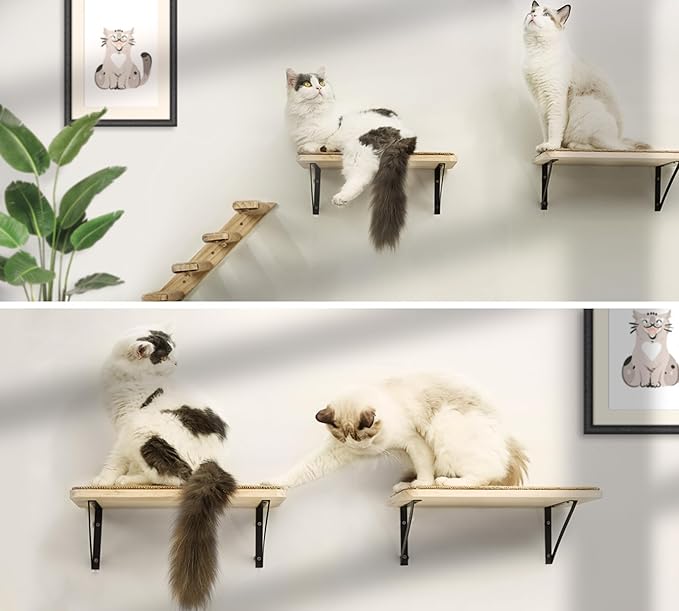 2PCS Cat Wall Shelves with Scratching Mat, 16.6x9.7 Inch Large Cat Wall Hammock Cats Furniture Shelf Window Perch Wall Mounted Beds for Household Pets Sleeping, Playing, Climbing-Mewly Pet