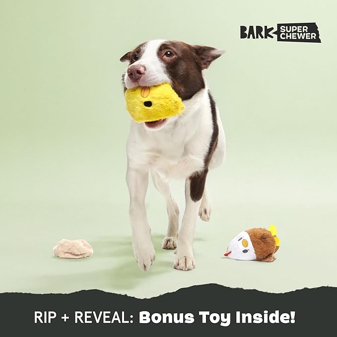 Barkbox Hatch Me If You Can Dog Toy for Medium to Large Aggressive Chewers Two-Layer Tearable Toy with Hidden Surprise Inside for Interactive Playtime-Mewly Pet
