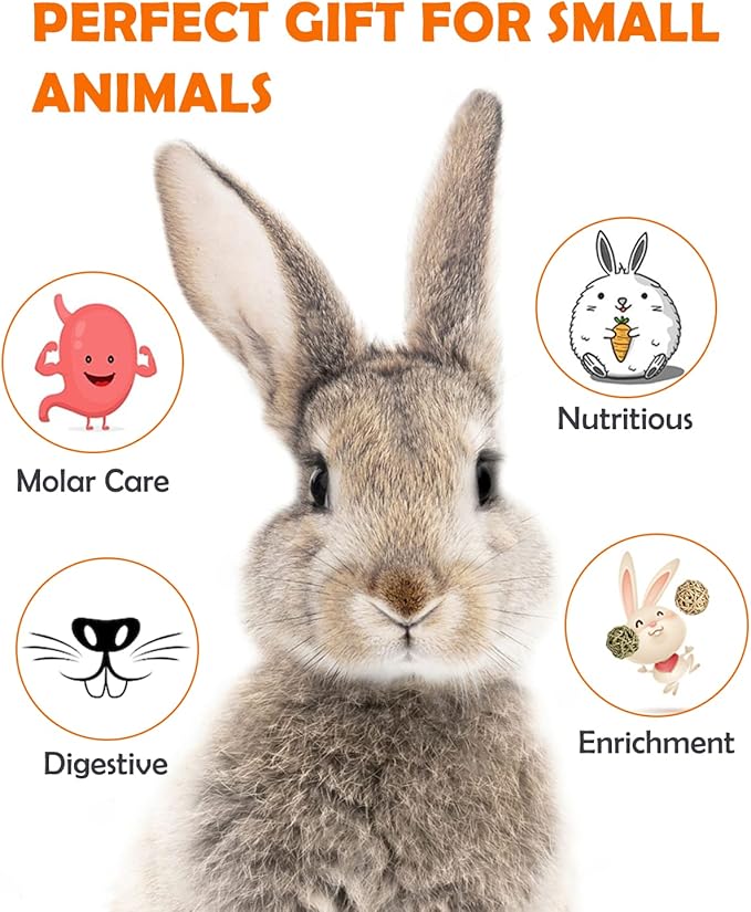 Sofier 12Pcs Timothy Hay Treats - Natural Chews for Teeth - Handmade Rabbit, Chinchilla, Gerbil, Rat, Hamster Toys - Bunny & Guinea Pig Toys-Mewly Pet