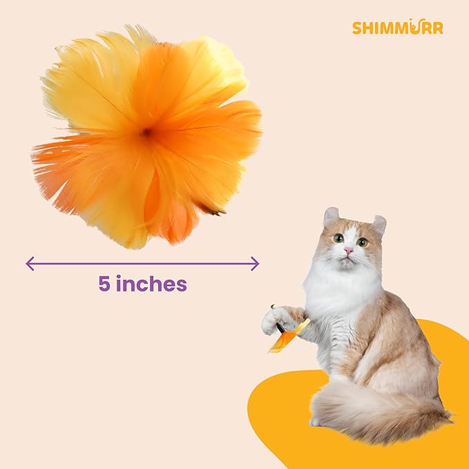 Cat Feather Wand Toy - 38" Retractable Cat Wand Toy with Orange Feather Flower Teaser Refill for Indoor Cats and Interactive Play-Mewly Pet