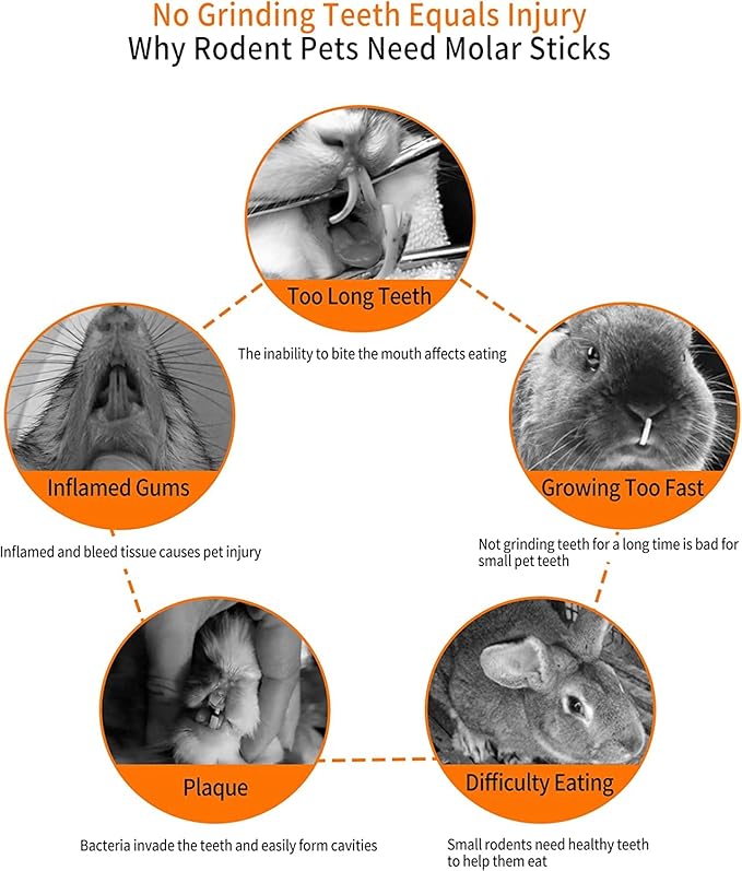 600g Apple Sticks Molar Wood Treats, Rabbit Toys Chinchilla Guinea Pig Bunny Toys Wood Chews Sticks for Teeth Rabbit Food Guinea Pig Hamster Gerbil Chews Small Animals Snacks(150 Pcs)-Mewly Pet