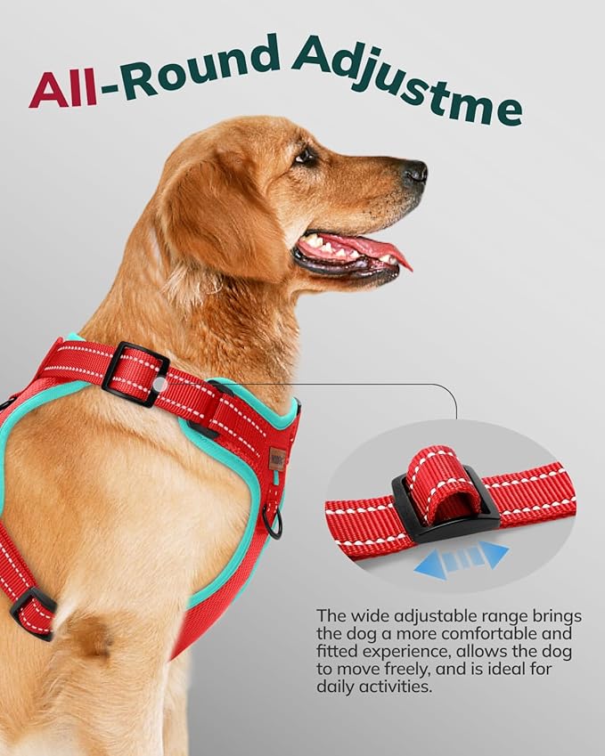 MIDOG No-Pull Dog Harness | Adjustable & Reflective Pet Harness Leash Set for Small Medium Large Dogs Walking, Training| No Choke, Front Clip, Soft Padded Vest with Easy Control Handle - Red, M-Mewly Pet