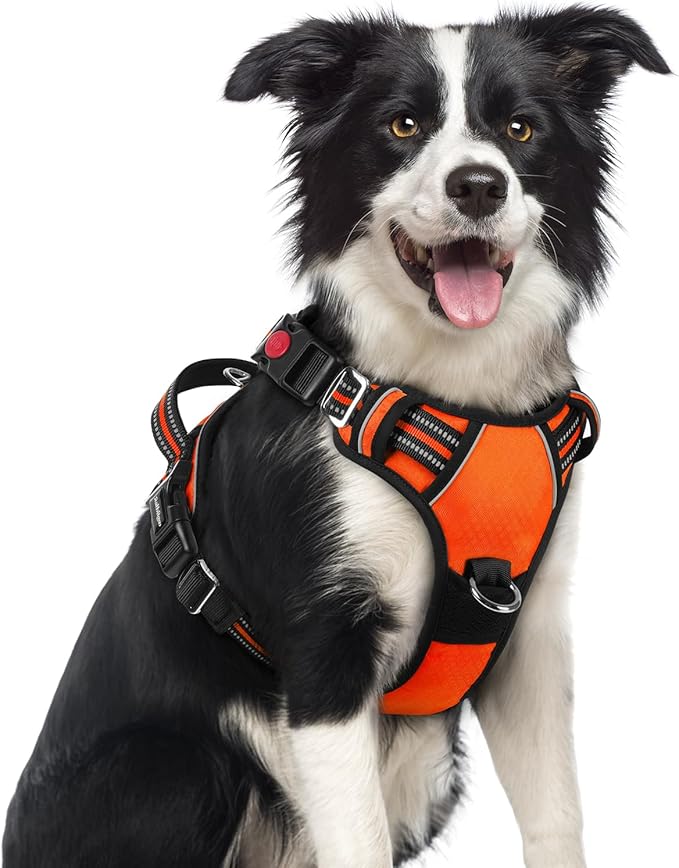 rabbitgoo Dog Harness Medium Sized, No Pull Dog Vest with 3 Buckles, Adjustable Soft Padded Pet Harness with Easy Control Handle and Reflective Strips, Orange, M-Mewly Pet