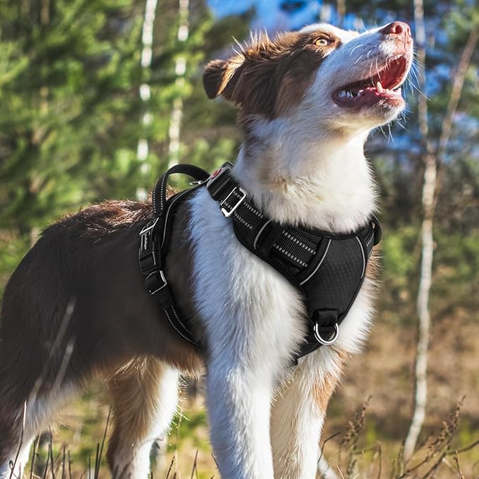 rabbitgoo Dog Harness Medium Sized, No Pull Dog Vest with 3 Buckles, Adjustable Soft Padded Pet Harness with Easy Control Handle and Reflective Strips, Black, M-Mewly Pet