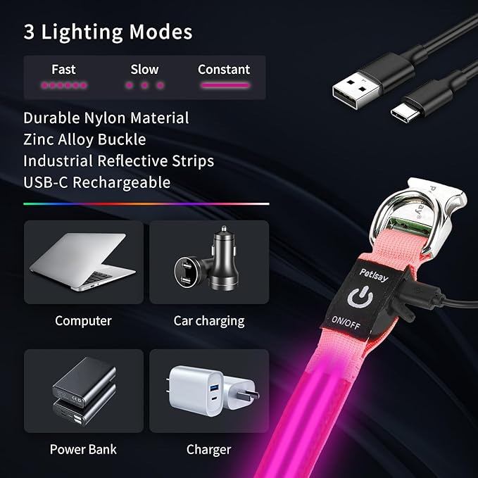 LED Dog Collar with Metal Buckle - USB Rechargeable Glow Collar for Dogs, Waterproof Light Up Dog Collar w/Reflective Strips - Adjustable Night Safety Collars by PetIsay(Pink,Large)-Mewly Pet