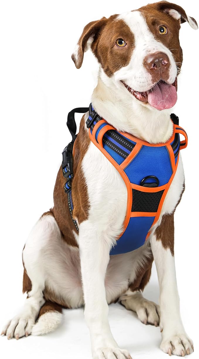 rabbitgoo Dog Harness No Pull with 2 Leash Clips, Adjustable Soft Padded, Reflective Oxford No Choke Pet Vest with Easy Control Handle for Large Dogs, Blue & Orange, L-Mewly Pet