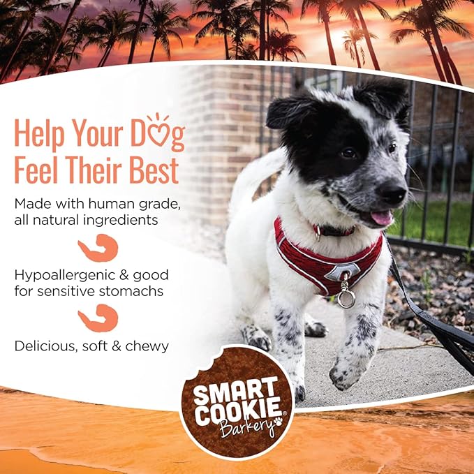 Smart Cookie All Natural Dog Treats - Shrimp & Coconut - Training Treats for Dogs with Allergies, Sensitive Stomachs - Soft Dog Treats, Chewy, Grain Free, Human-Grade, Made in USA - 5oz, Pack of 3-Mewly Pet