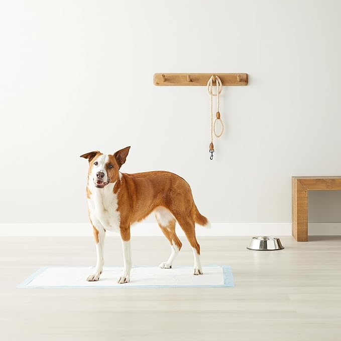 Amazon Basics Absorbent Dog and Puppy Pee Pads with 5-Layer Leak-Proof Design and Quick-Dry Surface for Potty Training, Heavy Duty Absorbency, Giant, 27.5 x 44 Inch - Pack of 30, Blue & White-Mewly Pet