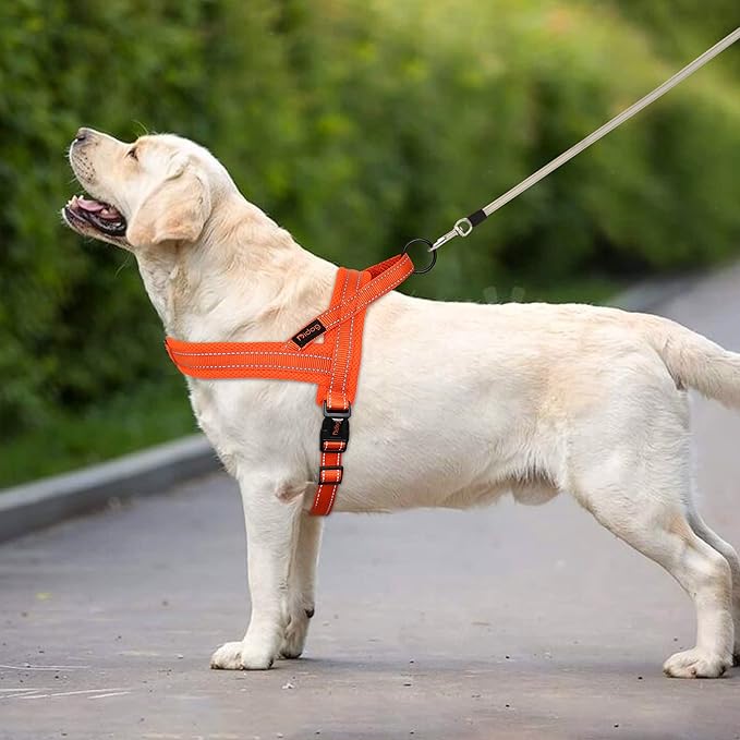 Didog No Pull Dog Harness with Soft Mesh Padded,Reflective & Quick Fit Light Weight Dog Strap Vest Harness,Easy for Walking Training (S:Chest 18-22", Orange)-Mewly Pet