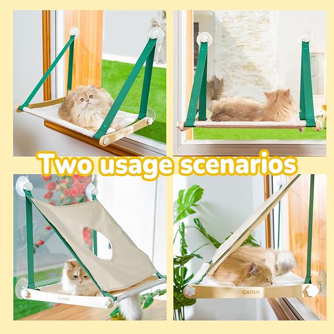CATISM Cat Window Perch Foldable - Cats Hammock for Window, 2 in 1 Cat Window Hammock Bed for Indoor Cats, Cat Perch with Sturdy Screw Suction Cups for Kittens (Green)-Mewly Pet