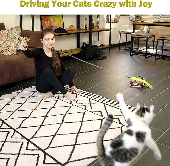 24 PCS Cat Worm Toy Refills Cat Wand Toy Replacement Interactive Wand Accessories Feather Worm Teaser Refills Attachment-Mewly Pet