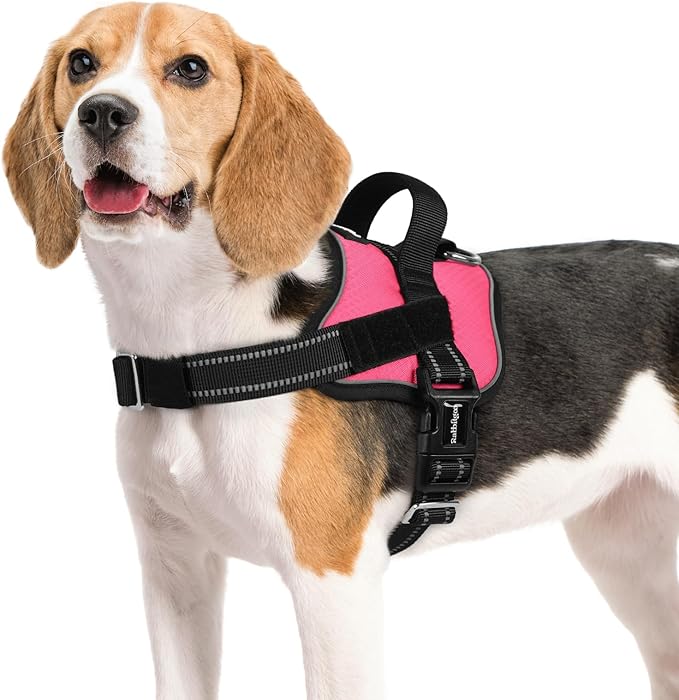 rabbitgoo Dog Harness Medium Sized, Easy On Pet Vest with One Buckle, No Pull Adjustable Service Harness with D-Ring & Handle, Reflective for Safety Walking, Training, Pink, M-Mewly Pet