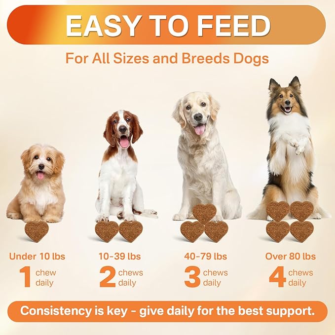 5-in-1 Dog Flea and Tick Treatment Chewable, Natural Flea and Tick Prevention for Dogs Chewable - Flea & Tick | Hip & Joint | Skin & Coat | Immunity Support | Digestive for All Breeds & Sizes-Mewly Pet