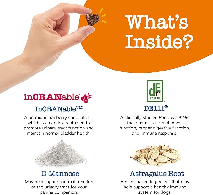 Zesty Paws Senior Cranberry Supplement for Dogs - Bladder Control for Senior Dogs - Urinary Tract Support - Cranberry Chews - Immune & Gut Support - Chicken - 90 Count-Mewly Pet