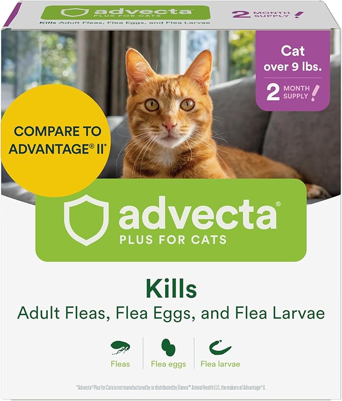 Plus Flea Prevention for Cats, Cat and Kitten Treatment & Control, Small and Large, Fast Acting Waterproof Topical Drops, 2 Month Supply-Mewly Pet