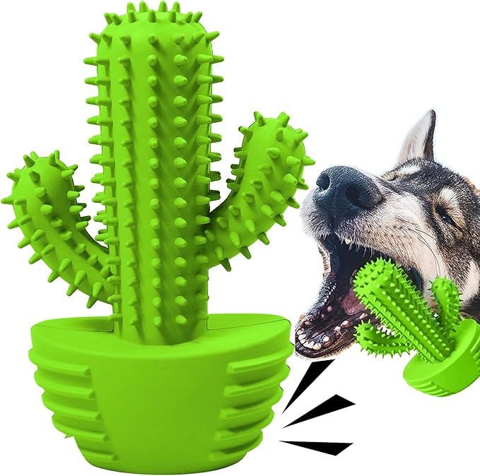Dog Chew Toys, Toothbrush Stick Teeth Cleaning Brush Dental for Small Medium Large Dog, Rubber Squeaky Toys for Aggressive Chewers Cactus Tough Toys-Mewly Pet