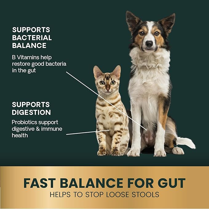 VetriScience Quick Action Diarrhea Aid Paste with Probiotics & B Vitamins, Fast Balance Digestive Support Supplement for Dogs and Cats, Gut Balancer, Help Stop Diarrhea, Unflavored, 35 cc-Mewly Pet