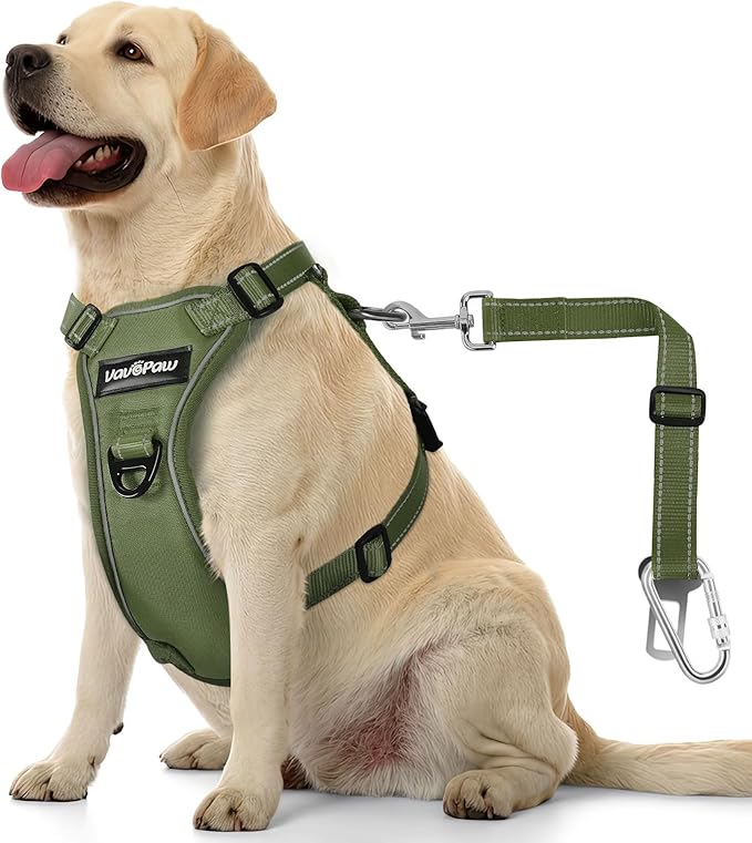 Dog Seat Belt Harness for Car, Dog Car Harness Adjustable Mesh Breathable & Dogs Seatbelt Safety Tether with Elastic Bungee for Small Medium Large Pets(Army Green, L)-Mewly Pet