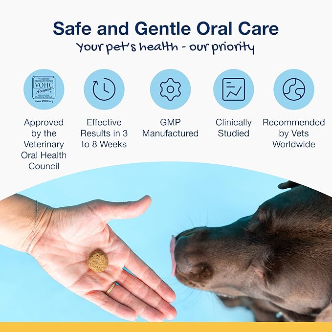 ProDen PlaqueOff Soft Chews with Natural Kelp - for Small & Medium Breed Dogs & Cats - Supports Normal, Healthy Teeth, Gums, and Breath Odor in Dogs & Cats - 90 Soft Chews-Mewly Pet