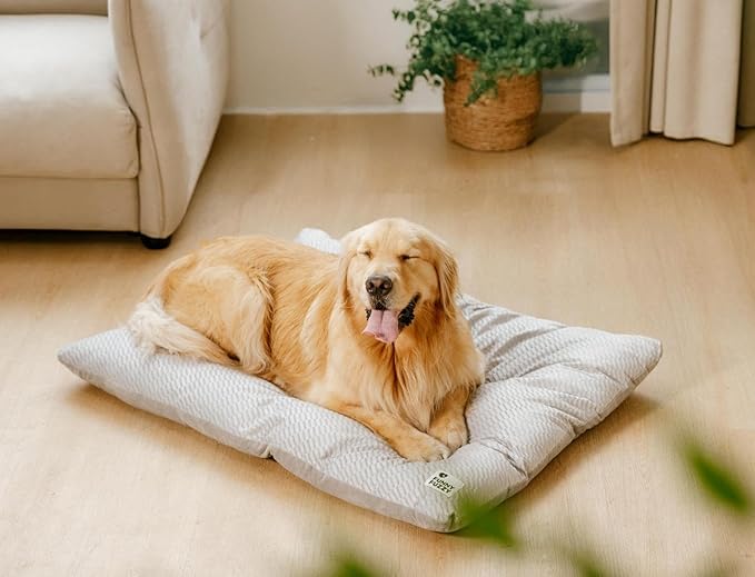 FUNNY FUZZY Washable Dog Bed,Reversible Plush Dog Crate Mat, Soft Fluffy Kennel Pad,Pet Sleeping Mattress for Large,Jumbo,Medium Sized Dogs Breeds,Indoor Cats,41.7" × 28.3", Light Grey-Mewly Pet