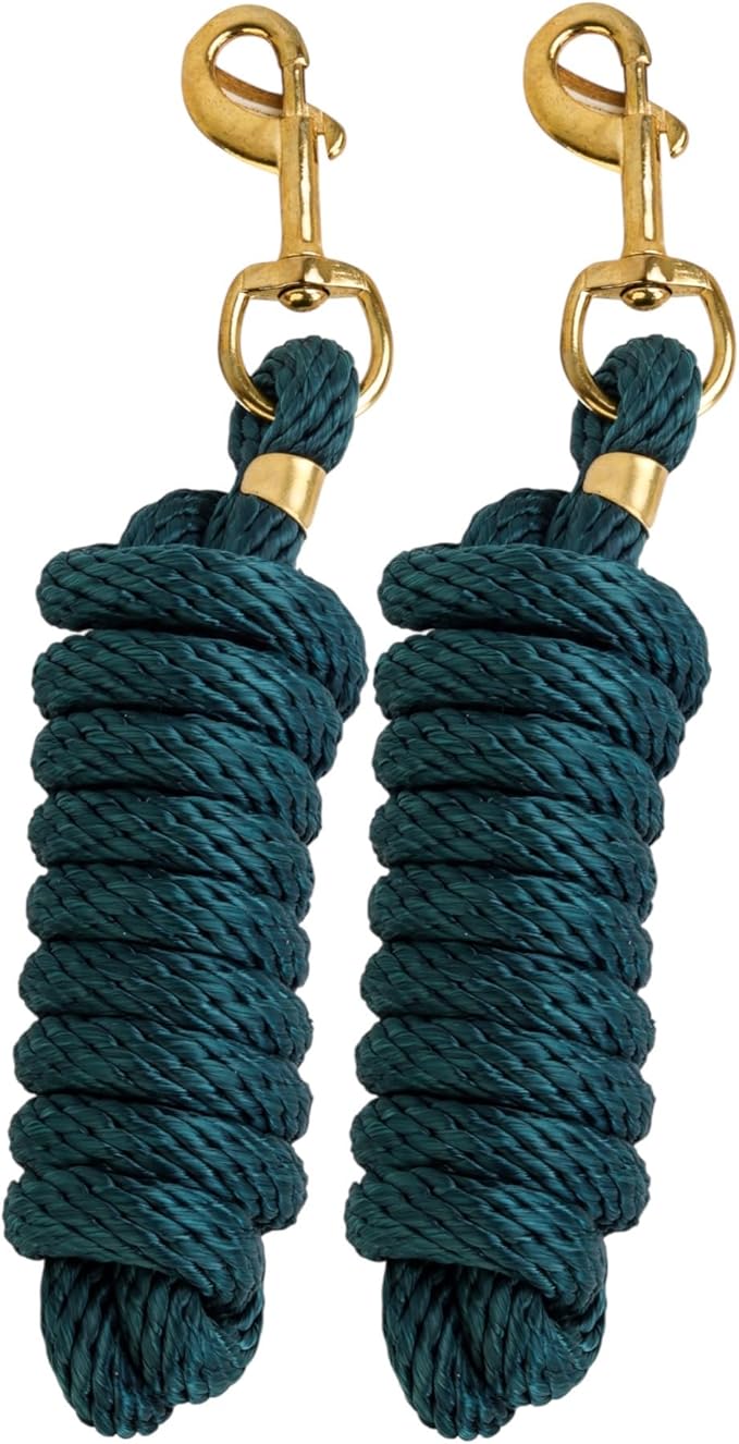 SIE (Pack of 2) Nylon 8ft Lead Ropes for Horse Halters (Hunter Green)-Mewly Pet