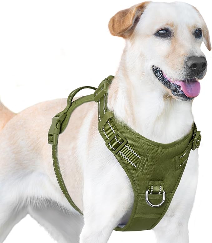 No Pull Dog Harness, Reflective Puppy Vest for Small Medium Large Sized Dog (Misty Green,L)-Mewly Pet