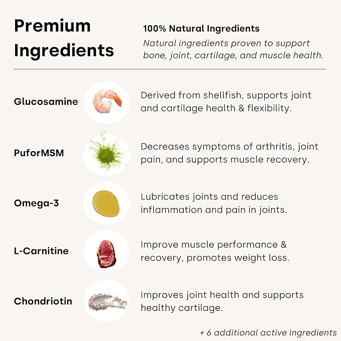 Joint & Recovery | 2-in-1 Joint & Muscle Chews. Help Reduce Pain & Increase Daily Activity. Helps with Arthritis and Pain Prevention. Tasty Trout Flavor.-Mewly Pet