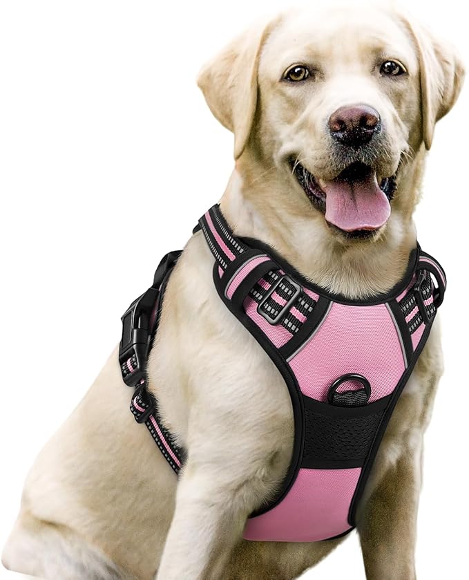 rabbitgoo Dog Harness No Pull with 2 Leash Clips, Adjustable Soft Padded, Reflective Oxford No Choke Pet Vest with Easy Control Handle for Large Dogs, Pink, L-Mewly Pet