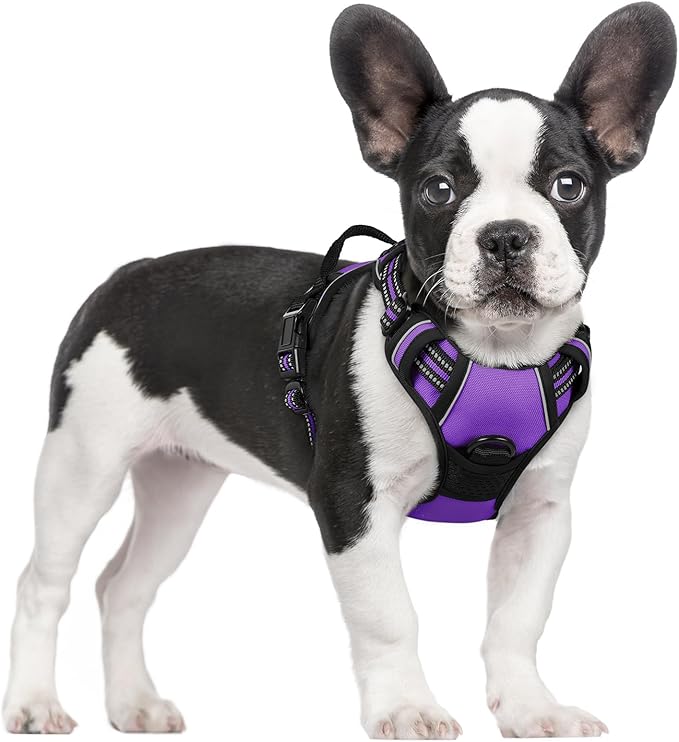 rabbitgoo Dog Harness No Pull with 2 Leash Clips, Adjustable Soft Padded, Reflective Oxford No Choke Pet Vest with Easy Control Handle for Small Dogs, Purple, S-Mewly Pet