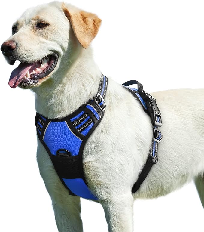Eagloo Dog Harness for Large Dogs, No Pull Service Vest with Reflective Strips and Control Handle, Adjustable and Comfortable for Easy Walking, No Choke Pet Harness with 2 Metal Rings, Blue, L-Mewly Pet