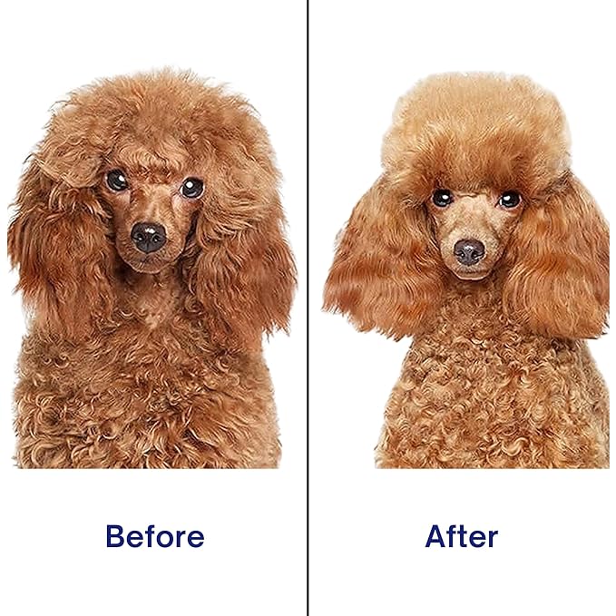 Self‑Cleaning Pet Grooming Brush for Dogs & Cats – One‑Click Fur Release, Soft Rounded Bristles Massage, Ergonomic Non‑Slip TPR Handle, Safe Deshedding Tool for All Hair Types-Mewly Pet